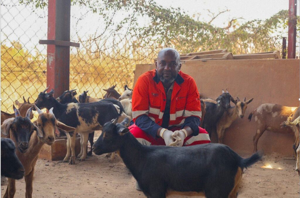 Lualaba: TFM appui les initiatives d’élevage locales - CONGO MONDE